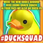 mr duck dude | WERE THE NEW DUDES AROUND HERE GOING QUACK QUACK IN YOUR FACE WE ALSO NO DUCK-FU | image tagged in duck dude | made w/ Imgflip meme maker