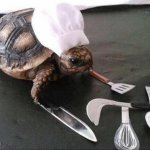 Cooking Turtle meme