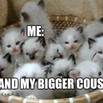 Kittens | ME:; ME AND MY BIGGER COUSINS | image tagged in kittens | made w/ Imgflip meme maker