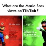 I mean tik tokers started it... | TikTok; Even if you do not like tik tok you should still respect the people who is using it and not leave hate comments, it is disrespectful for the people using tic tok and will not do you any good. Tik tokers can do whatever they like because of the first amendment. Roses are red
TikTokers can die
try to use tik tok
i make you go bye bye | image tagged in mario v luigi | made w/ Imgflip meme maker