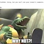 DKC Cartoon Show King K. Rool | YouTube: Sorry, but you can't see your viewer's comments. Me:; WHY NOT?! | image tagged in king k rool why not | made w/ Imgflip meme maker