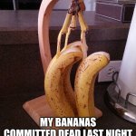 dead | MY BANANAS COMMITTED DEAD LAST NIGHT | image tagged in banana | made w/ Imgflip meme maker
