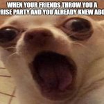 DOGE DOGE DOGE DOGE | WHEN YOUR FRIENDS THROW YOU A SURPRISE PARTY AND YOU ALREADY KNEW ABOUT IT | image tagged in doge doge doge doge | made w/ Imgflip meme maker