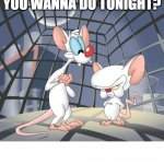 PATB | GEE BRAIN WHAT DO YOU WANNA DO TONIGHT? YOU PINKY. | image tagged in pinky and the brain | made w/ Imgflip meme maker