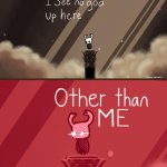 Hollow Knight | image tagged in hollow knight,funny,fun,meme,god | made w/ Imgflip meme maker