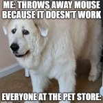 WoOpSiEz | ME: THROWS AWAY MOUSE BECAUSE IT DOESN'T WORK; EVERYONE AT THE PET STORE: | image tagged in scared dog | made w/ Imgflip meme maker