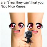 Nico Nico Knees