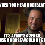 Well, the form of the argument is correct. | WHEN YOU HEAR HOOFBEATS; IT'S ALWAYS A ZEBRA, BECAUSE A HORSE WOULD BE BORING | image tagged in ufologist,logic,invalid,false premise,belieberble,boring | made w/ Imgflip meme maker
