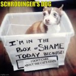 Shame Dog | SCHRÖDINGER'S DOG; I DON'T CARE ABOUT THE CAT'S STATE | image tagged in shame dog | made w/ Imgflip meme maker
