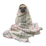Pug in Blanket meme