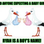 Ryan is a boy's name | TO ANYONE EXPECTING A BABY GIRL; RYAN IS A BOY'S NAME! | image tagged in pink stork blue stork,meme,memes,newborn,pregnancy | made w/ Imgflip meme maker