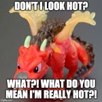 Fyra Meme | DON'T I LOOK HOT? WHAT?! WHAT DO YOU MEAN I'M REALLY HOT?! | image tagged in fyra meme | made w/ Imgflip meme maker