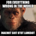 Okay | FOR EVERYTHING WRONG IN THE WORLD; INACHOT SIOT OTOT LAMEBOT | image tagged in gorilla madness | made w/ Imgflip meme maker