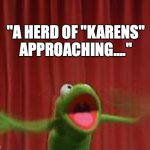 Karens | "A HERD OF "KARENS" APPROACHING...." | image tagged in crazy kermit | made w/ Imgflip meme maker