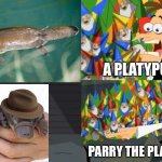An ordinary Platypus? | A PLATYPUS; PARRY THE PLATYPUS | image tagged in an ordinary platypus,memes,phineas and ferb | made w/ Imgflip meme maker