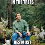he speaks for the trees, he will take yo knee's? | HE LIVES IN THE TREES; HES MUST BE VIETNAMESE | image tagged in schwarzenegger in the woods with animals,funny meme | made w/ Imgflip meme maker