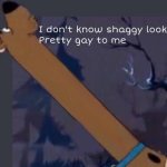 i dont know shaggy looks pretty gay to me