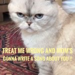 Taylor Swift's cat meme