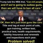 Trump gun control