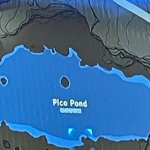 Pico pond