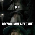 Smartness | SIR; DO YOU HAVE A PERMIT; TO BE THIS SMART | image tagged in gandalf approves | made w/ Imgflip meme maker