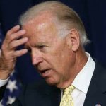 Joe Biden dumb 8