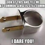 So much for Common Sense | LOOK AT THIS AND TELL ME THAT COMMON SENSE IS STILL COMMON. I DARE YOU! | image tagged in stupid people | made w/ Imgflip meme maker