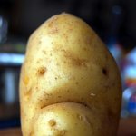 sad potato | ME WHEN I COME ON IMGFLIP AND I HAVE NO NOTIFICATIONS; *sad potato noises* | image tagged in sad potato,memes | made w/ Imgflip meme maker