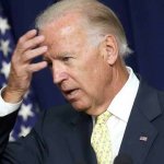 Joe Biden dumb 14