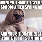 monday after spring break | WHEN YOU HAVE TO GET UP FOR SCHOOL AFTER SPRING BREAK; AND YOU SIT ON THE EDGE OF YOUR BED FOR 20 MINUTES | image tagged in yoda pug | made w/ Imgflip meme maker