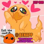 BeHapp's actual Happ temp