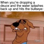 Have a nice day everyone | When you're dropping a deuce and the water splashes back up and hits the bullseye: | image tagged in scooby cringe,scooby doo,meme,dirty joke,is that you | made w/ Imgflip meme maker