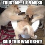 Elon musk advice | TRUST ME...ELON MUSK; SAID THIS WAS GREAT! | image tagged in toilet puppies | made w/ Imgflip meme maker