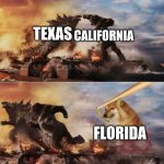Florida | TEXAS FLORIDA CALIFORNIA | image tagged in godzilla vs kong vs doge | made w/ Imgflip meme maker