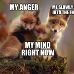 yes | ME SLOWLY FALLING INTO THE FNAF VOID; MY ANGER; MY MIND RIGHT NOW | image tagged in the three foxes of life | made w/ Imgflip meme maker