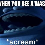 Screaming monster | WHEN YOU SEE A WASP | image tagged in screaming monster | made w/ Imgflip meme maker
