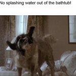 Beethoven Mud Shake | Parent: No splashing water out of the bathtub!

 
Kid: | image tagged in beethoven mud shake,meme | made w/ Imgflip meme maker