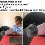 Woman showing paper to cat | Teacher: What do call a thing that cannot be seen?
Me: A ghost.
Teacher: Then why did you say John Cena? | image tagged in woman showing paper to cat,john cena,memes,ghost,you can't see me | made w/ Imgflip meme maker
