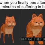 pls tell me you can relate | when you finally pee after 30 minutes of suffering in bed | image tagged in humanity restored,memes | made w/ Imgflip meme maker