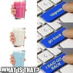 I SAID GO BACK | WHAT IS THAT? | image tagged in i said go back | made w/ Imgflip meme maker