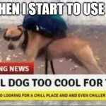 btw i use linux for real sometimes | ME WHEN I START TO USE LINUX | image tagged in local dog too cool | made w/ Imgflip meme maker