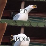 Its not | BEING; GAY; IS NOT A; CHOICE | image tagged in segull scream,lgbt,not a choice | made w/ Imgflip meme maker