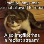 Loading Cat Meme Generator Imgflip Loading Cat Meme Generator Imgflip