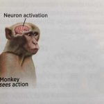 Monkey neuron activation