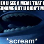 What the heck- | WHEN U SEE A MEME THAT HAS UR USERNAME BUT U DIDN'T MAKE IT.. | image tagged in screaming monster | made w/ Imgflip meme maker