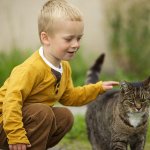 Boy and Cat