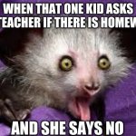 Surprised Aye-Aye | WHEN THAT ONE KID ASKS THE TEACHER IF THERE IS HOMEWORK; AND SHE SAYS NO | image tagged in surprised aye-aye,memes,funny memes,lemur,stop reading the tags | made w/ Imgflip meme maker