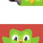 Scared Duolingo Bird