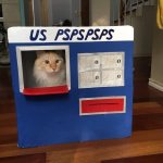 Mail Cat meme