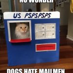 Mail Cat | NO WONDER; DOGS HATE MAILMEN | image tagged in mail cat | made w/ Imgflip meme maker